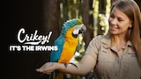 Crikey! It's the Irwins