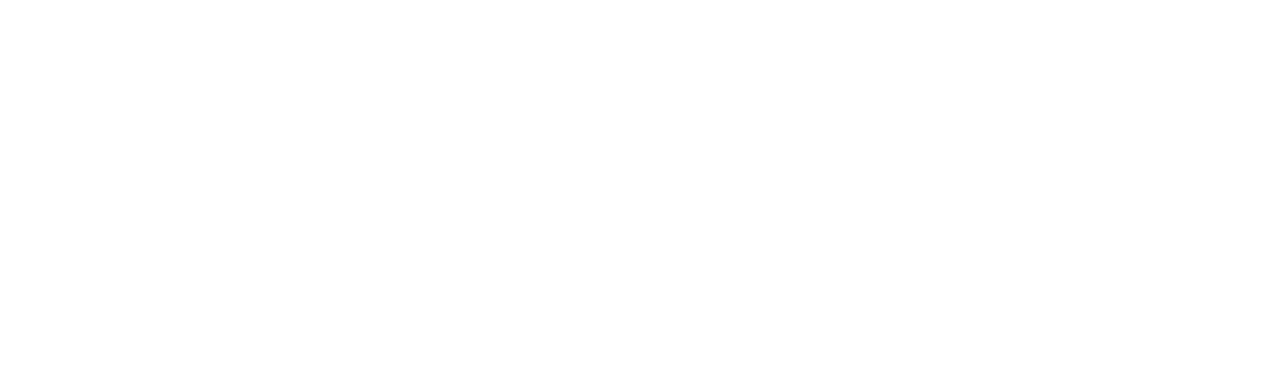 Wreck Chasers