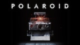 Polaroid