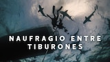 Naufragio entre tiburones