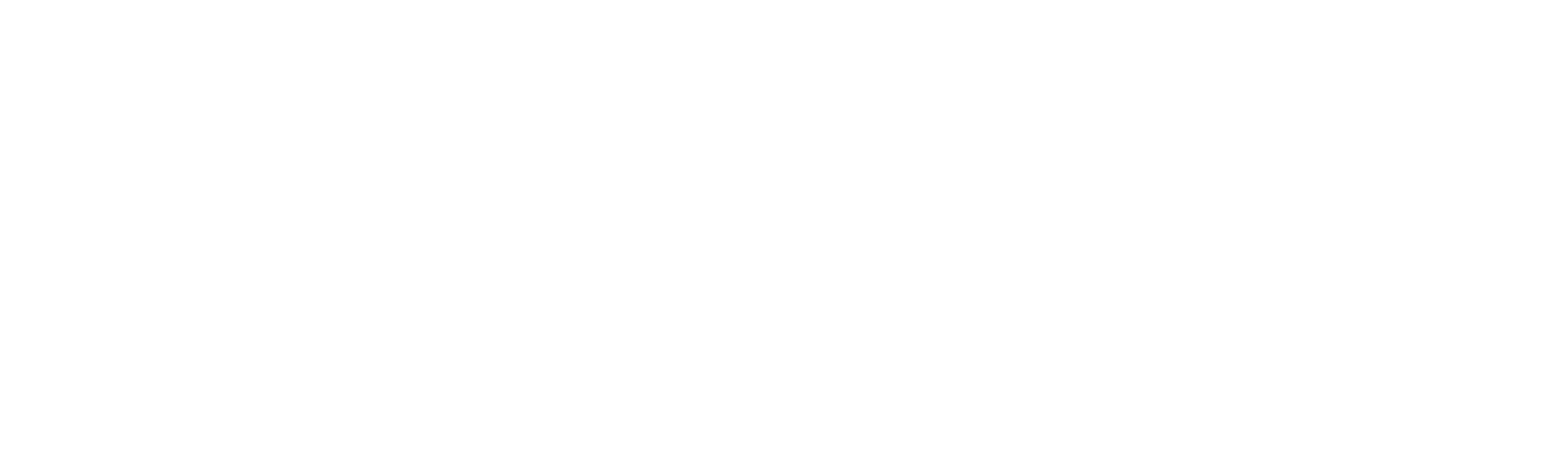 Ljubavni ekspres: Nestanak Valerijana Borovčika