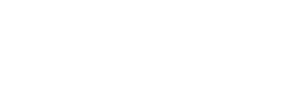 Black Dynamite