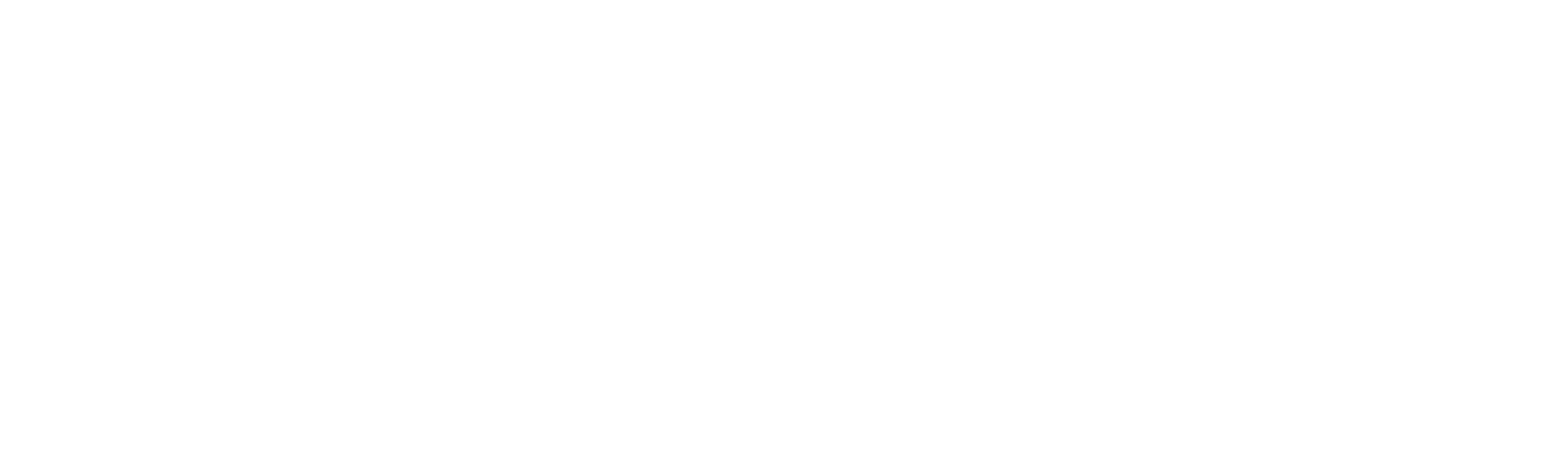 The Cake General