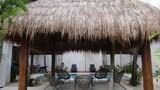 Estudiar en Tulum