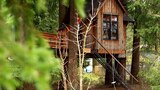Bionic Treehouse