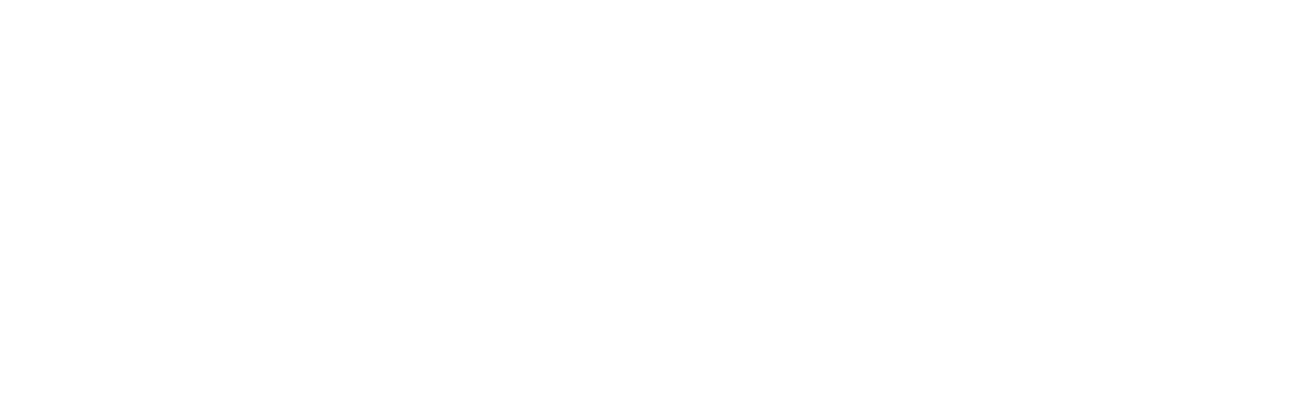 Hraniční kontrola: Švédsko