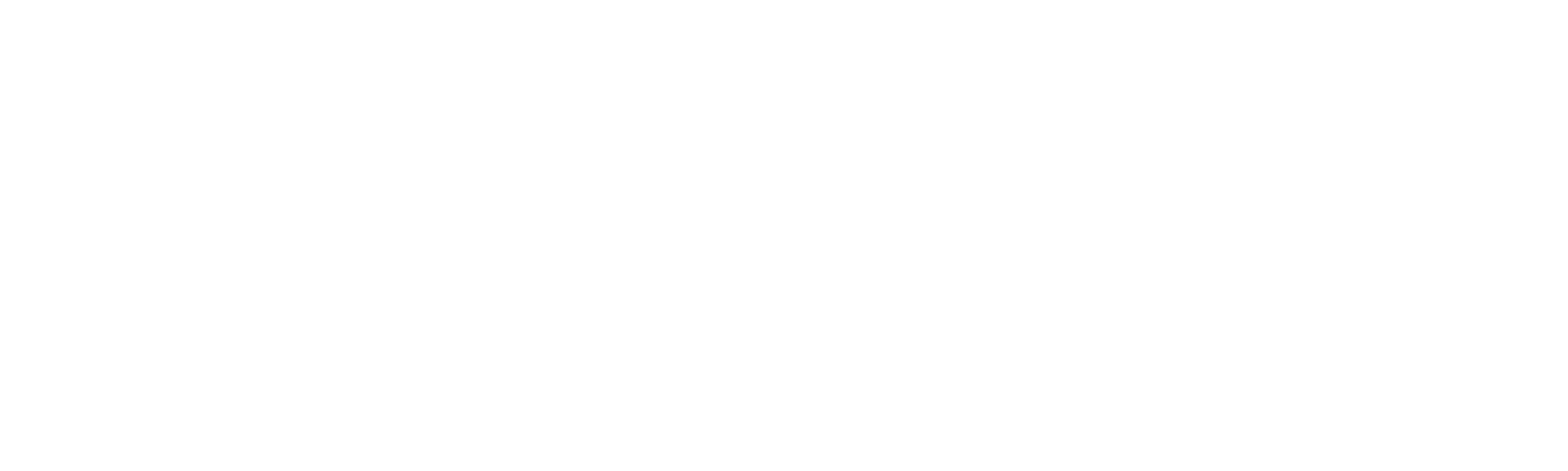 Control de fronteras: Suecia