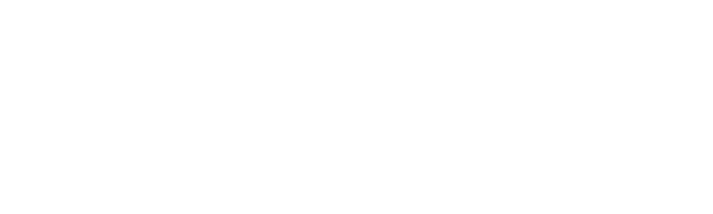 Mejna kontrola: Švedska