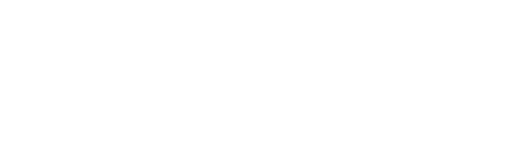 Border Control: Sweden