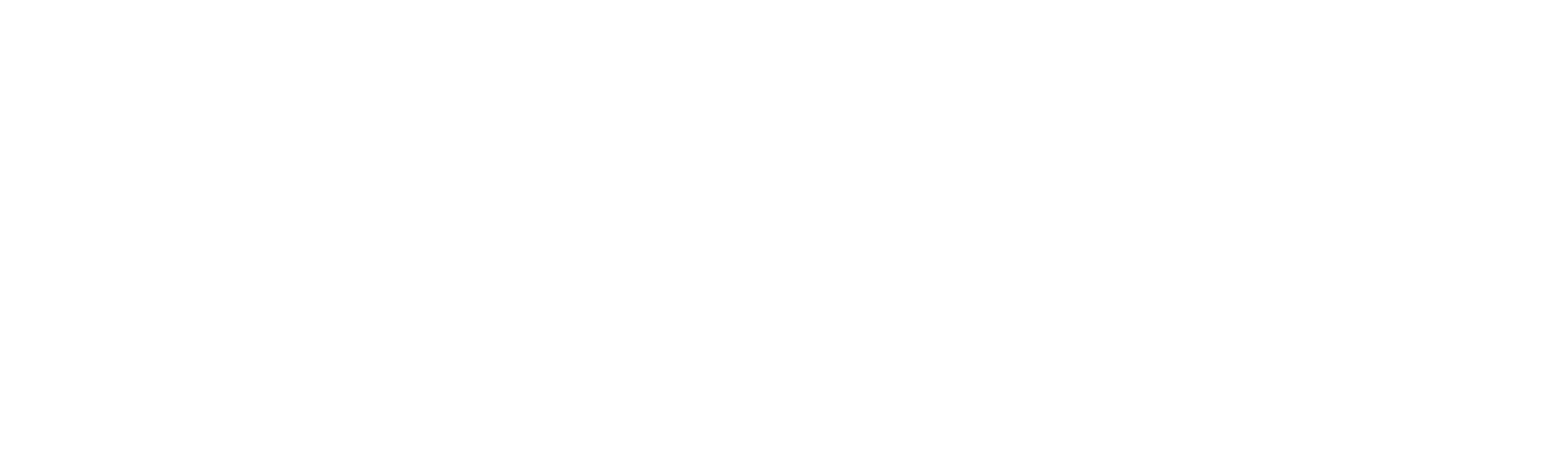 Border Control: Sweden