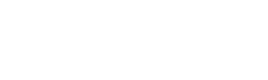 Granična kontrola: Švedska