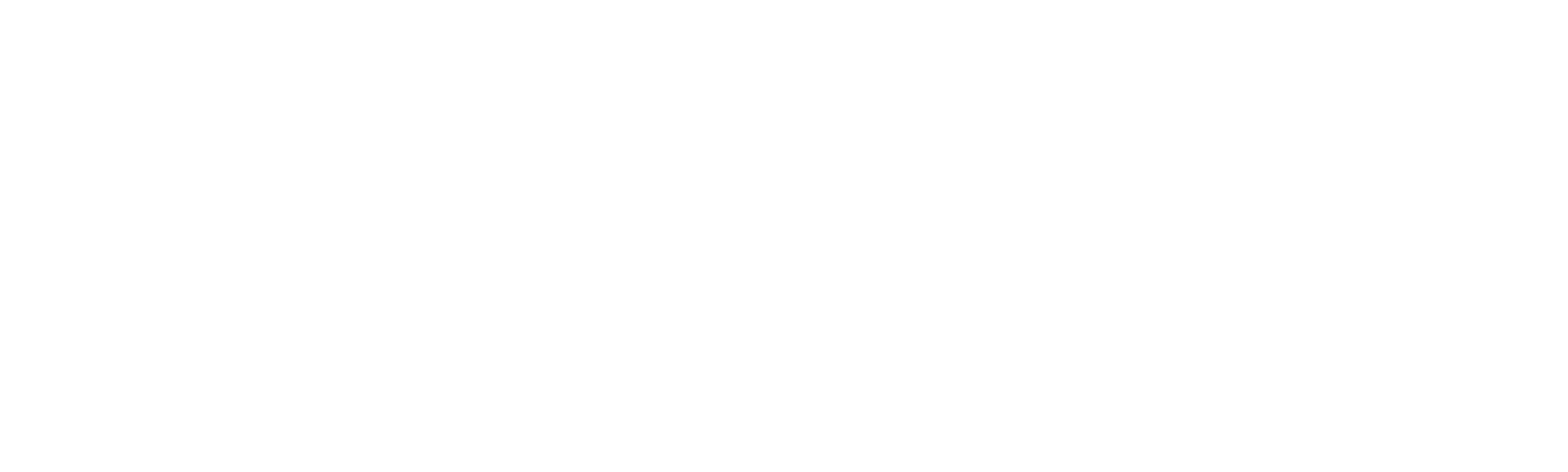 Granična kontrola: Švedska