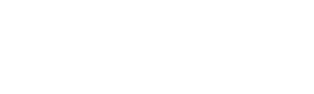 Battle of the Brothers