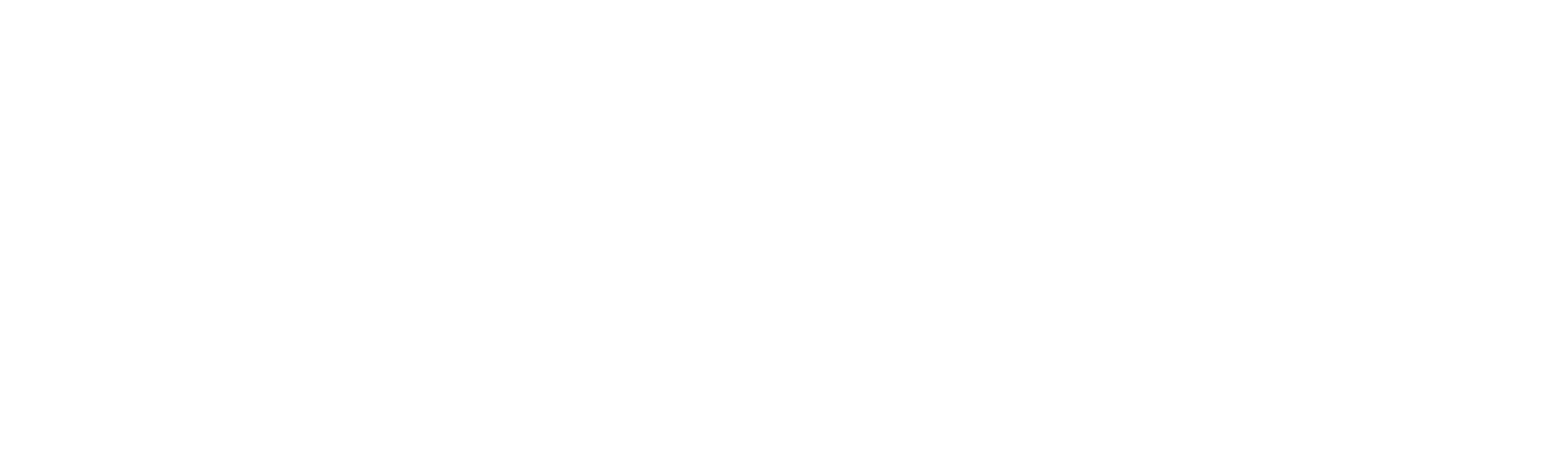 Battle of the Brothers