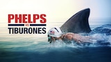 Phelps vs. Shark: Great Gold vs. Great White