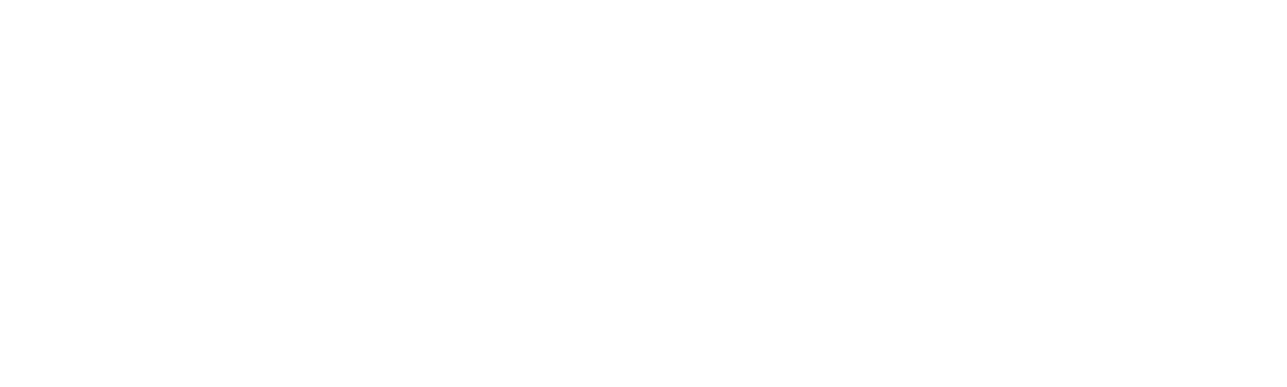 90 Day Journey: Nicole & Azan