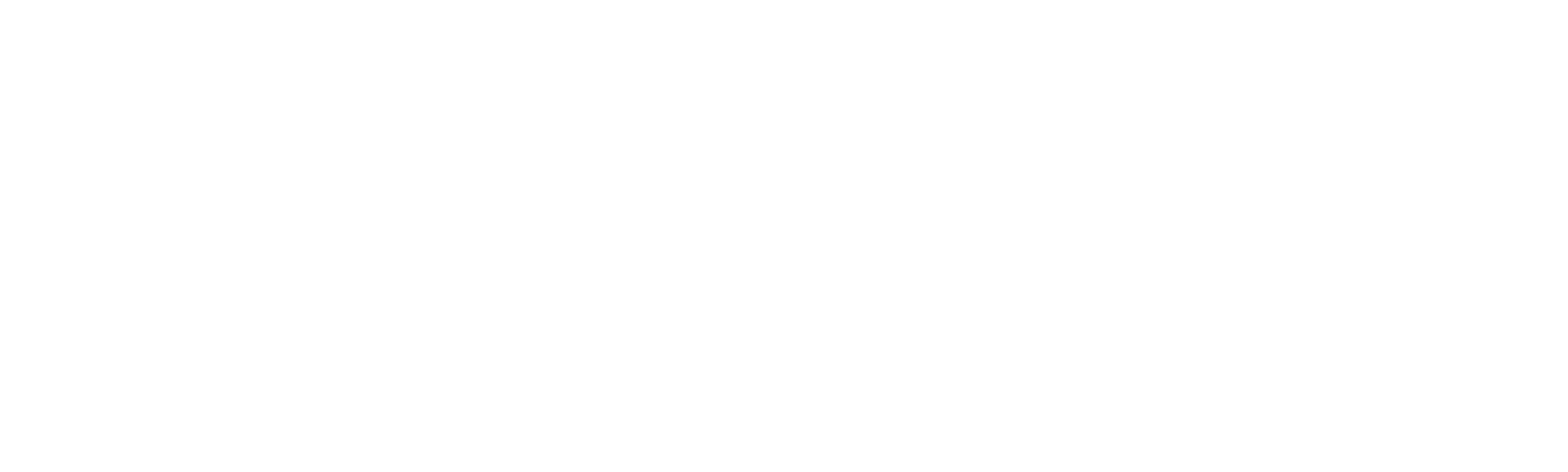 Cesta - portrét Věry Chytilové