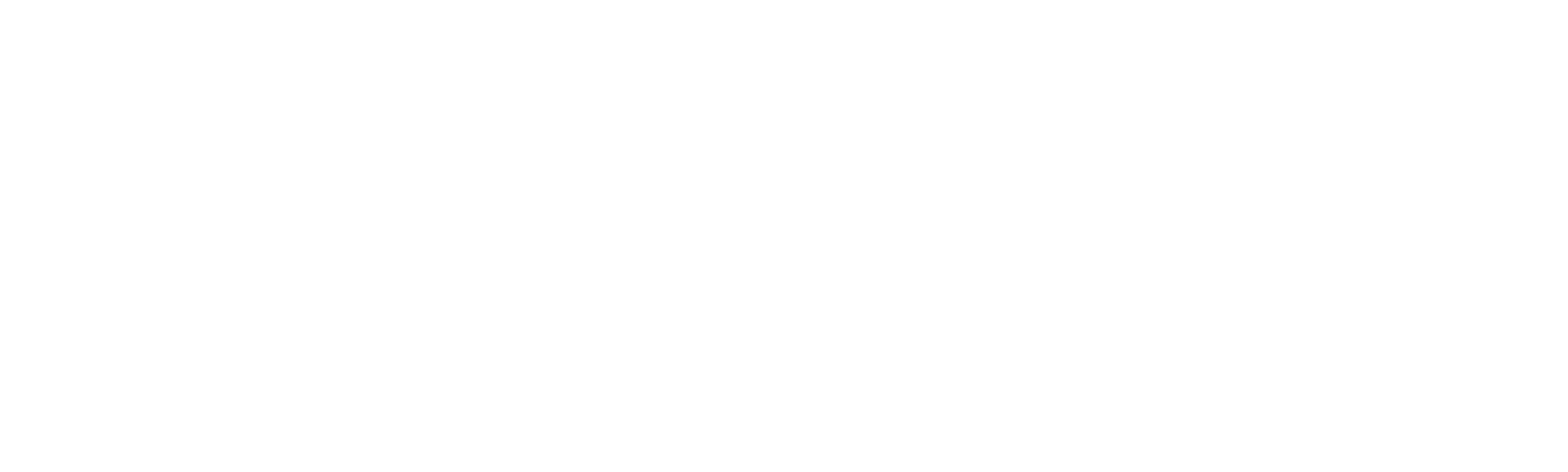 Chronicle: Director's Cut