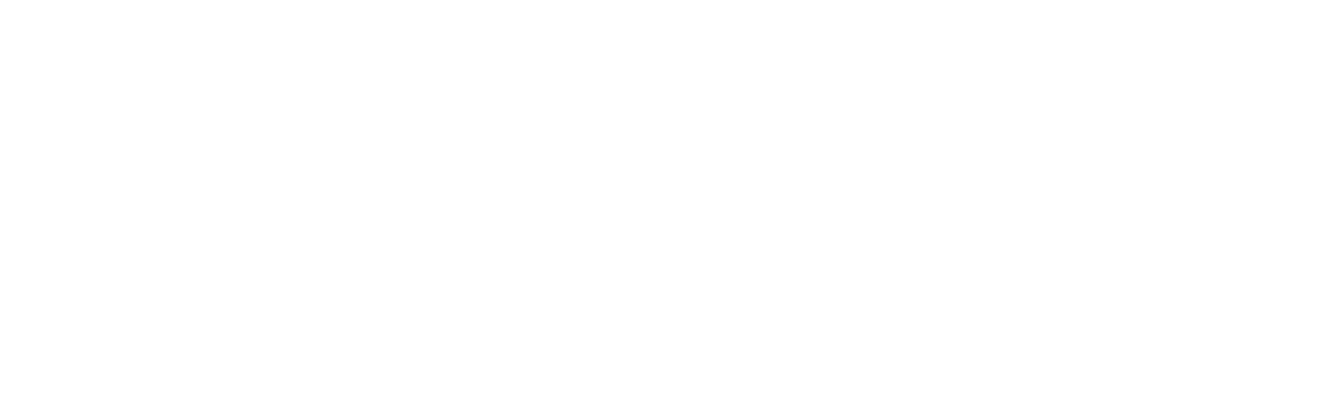 The Latin Explosion: A New America