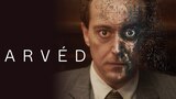 Arvéd