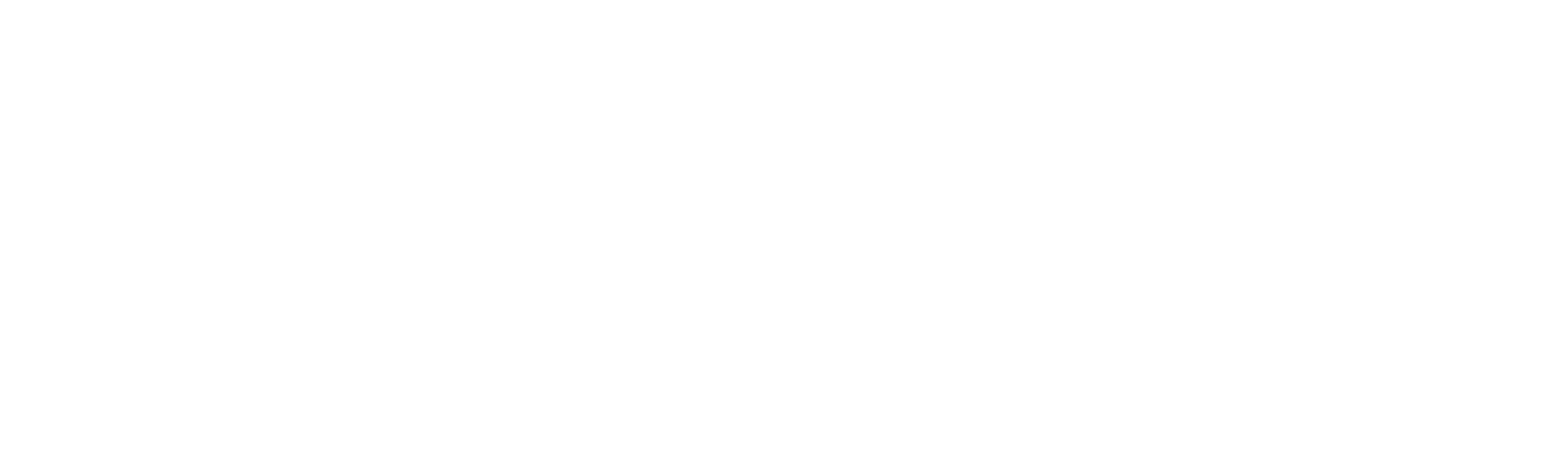Whimsical Illusions
