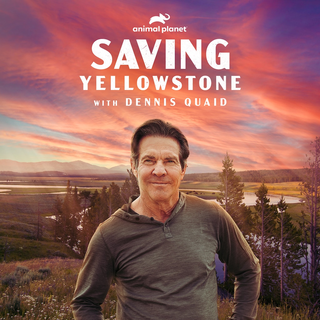 Saving Yellowstone with Dennis Quaid