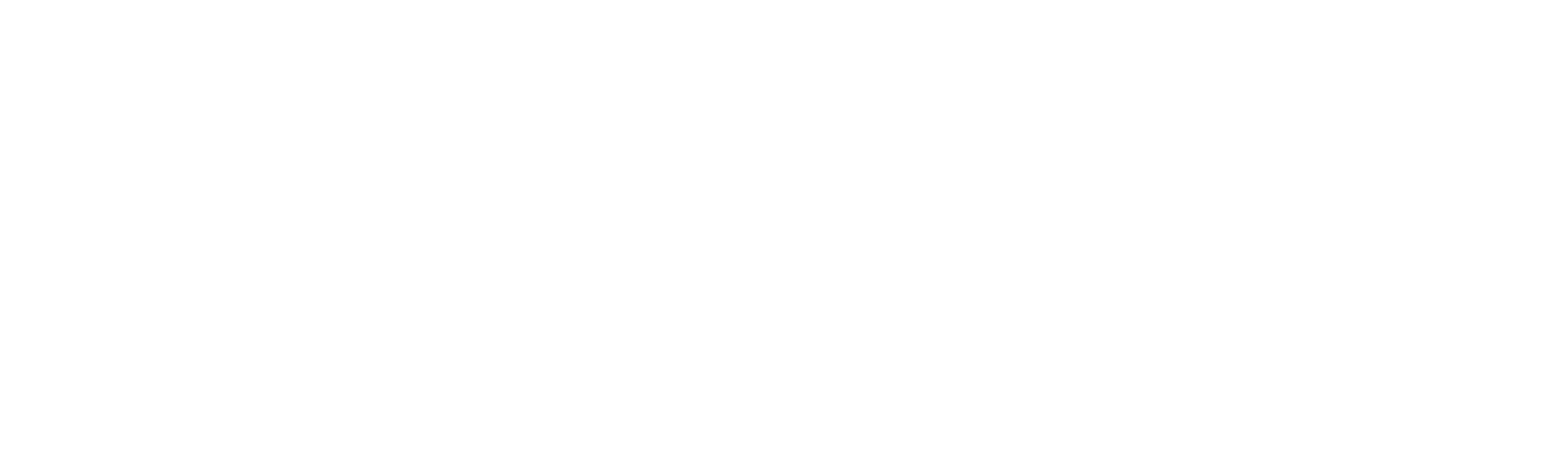 The Last Serb in Croatia