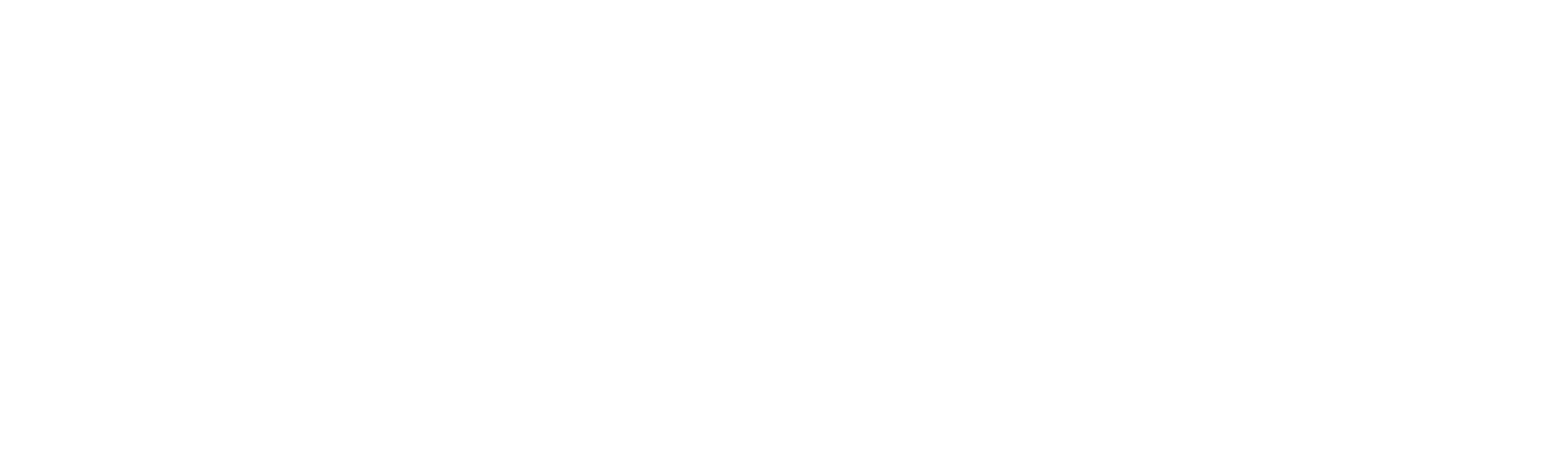 Ariel: Návrat do Buenos Aires