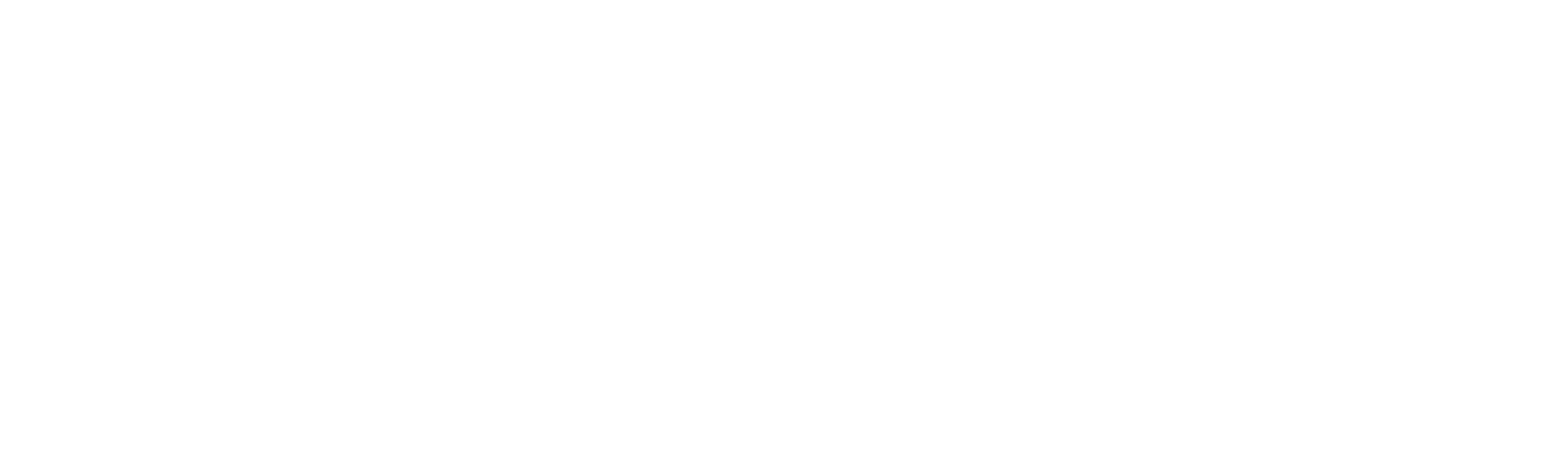 Entre Cámaras y Balas