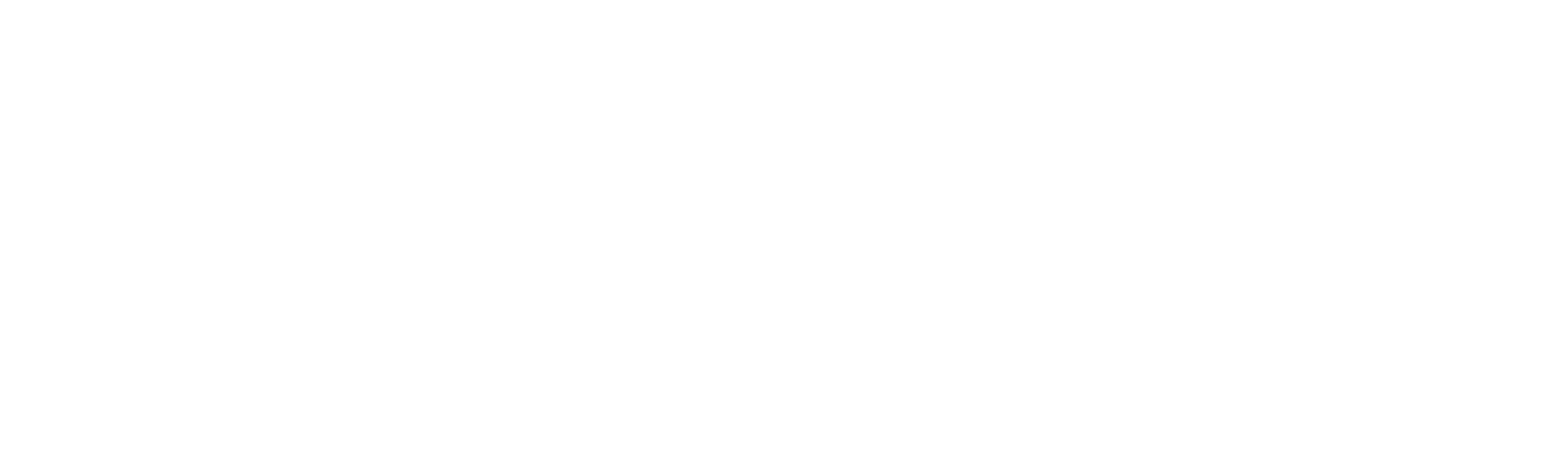 Fani czterech kółek