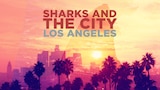 Sharks and the City: LA