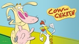 Cow and Chicken