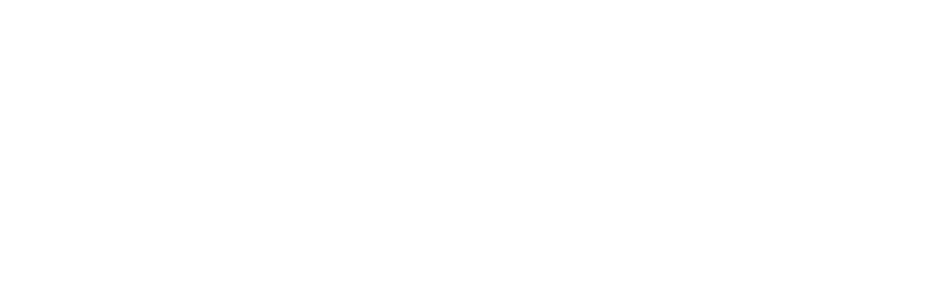 Border Control Italy