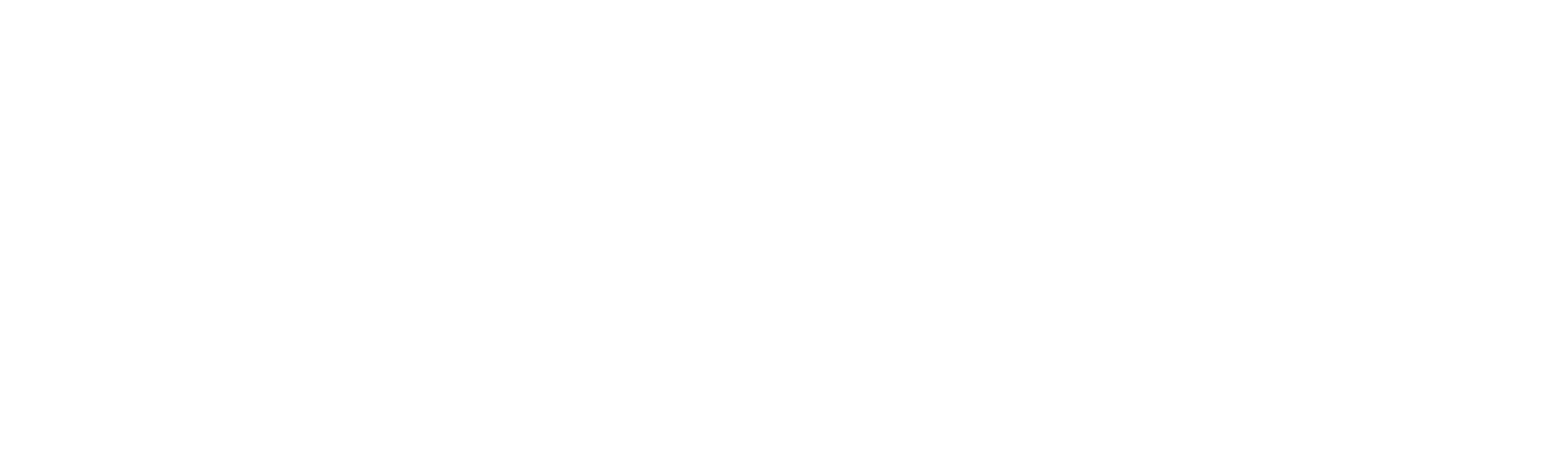 Border Control Italy