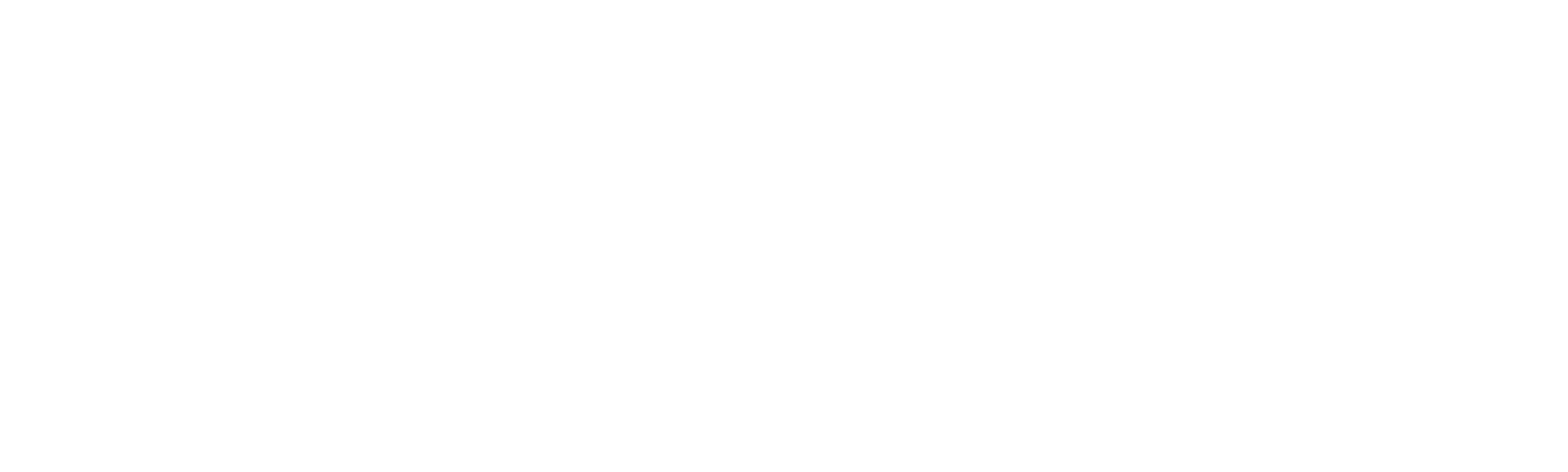 Skinheads USA: Soldiers Of The Race War: America Undercover