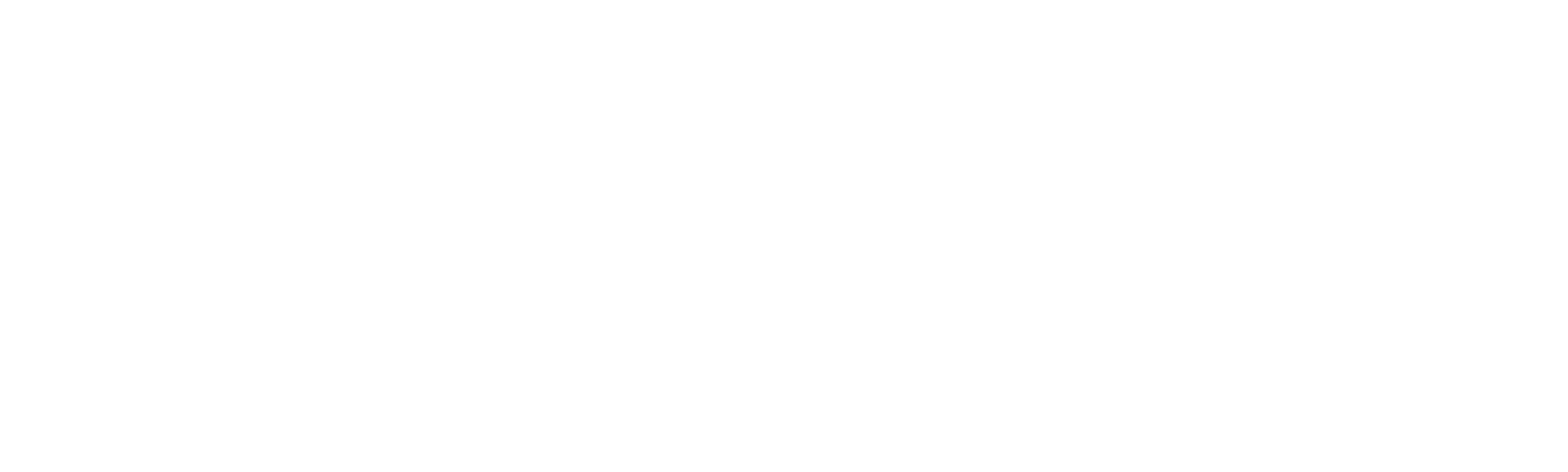 Skinheadi v USA: Vojáci rasové války