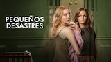 Pequeños desastres