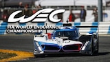 FIA World Endurance Championship