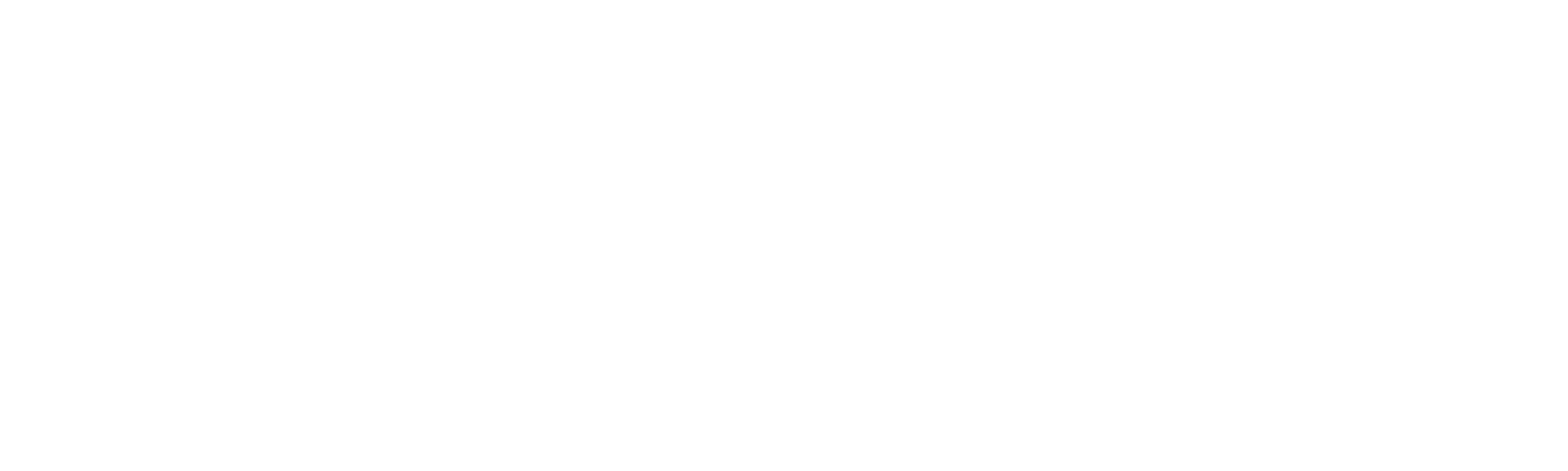Stolen Children