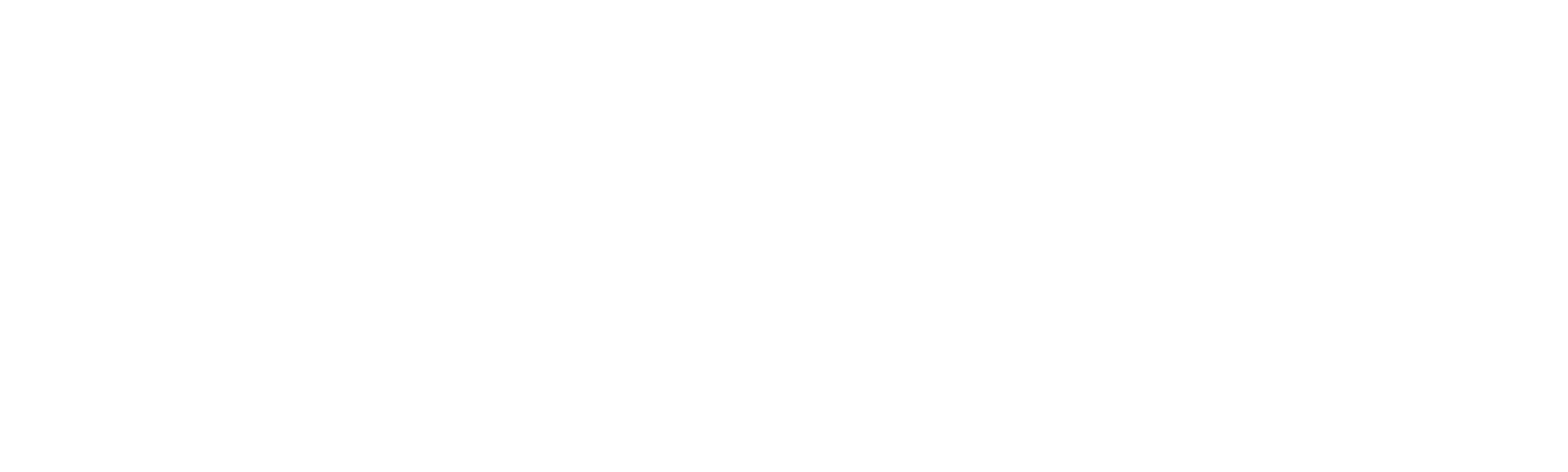 The Daytrippers