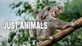 Just Animals