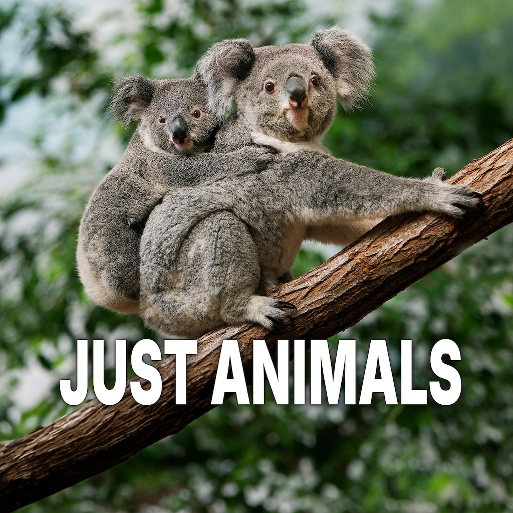 Just Animals