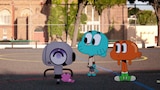 The Robot