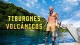 Tiburones volcánicos