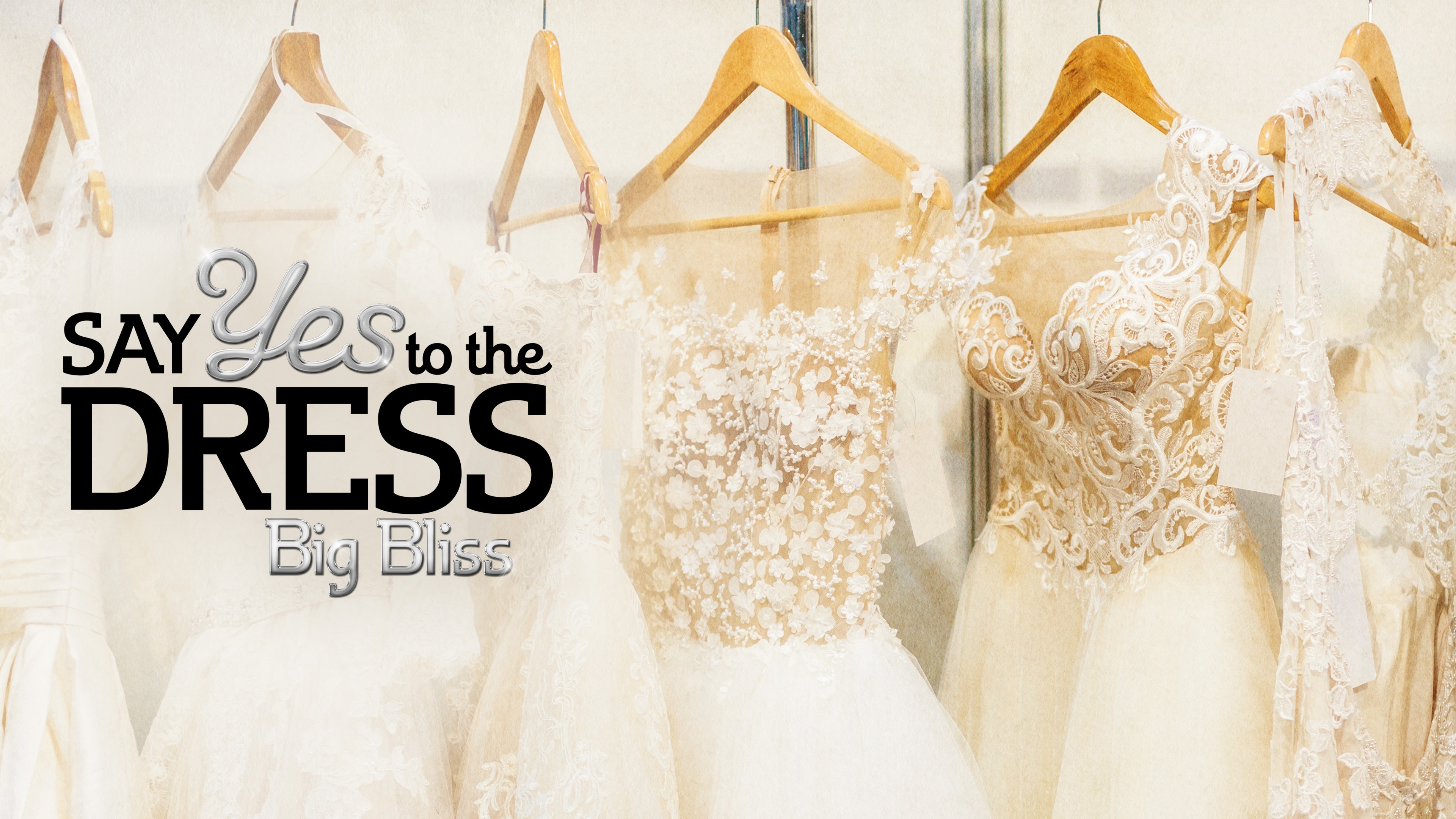 Big bliss say yes to the dress sale