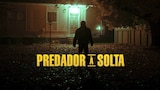 Predador à Solta