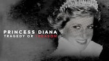 Princess Diana: Tragedy Or Treason?
