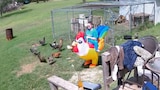 You Don't See That Every Day