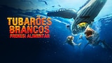 Tubarões Brancos: Frenesi Alimentar