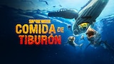 Shark Week: comida de tiburón